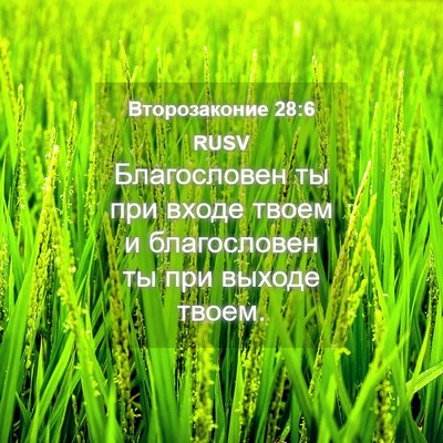 Picture 04 - Второзаконие 28:6 RUSV - Благословен ты при входе - Bible Verse Picture