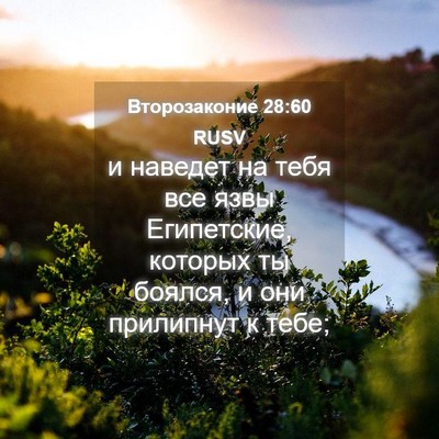 Picture 04 - Второзаконие 28:60 RUSV - и наведет на тебя все язвы - Bible Verse Picture
