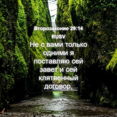 Picture 04 - Второзаконие 29:14 RUSV - Не с вами только одними я - Bible Verse Picture