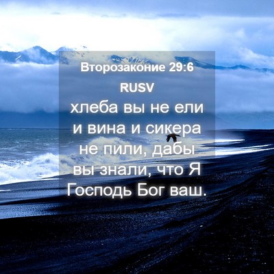 Picture 04 - Второзаконие 29:6 RUSV - хлеба вы не ели и вина и - Bible Verse Picture