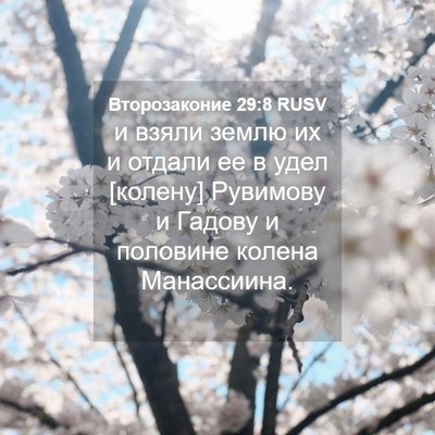 Picture 04 - Второзаконие 29:8 RUSV - и взяли землю их и отдали - Bible Verse Picture
