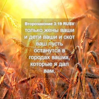 Picture 04 - Второзаконие 3:19 RUSV - только жены ваши и дети - Bible Verse Picture