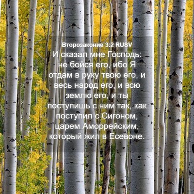 Picture 04 - Второзаконие 3:2 RUSV - И сказал мне Господь: не - Bible Verse Picture