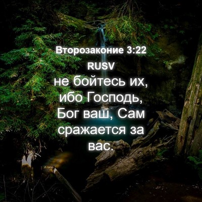 Picture 04 - Второзаконие 3:22 RUSV - не бойтесь их, ибо Господь, - Bible Verse Picture