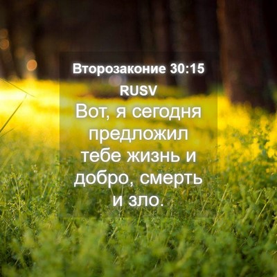 Picture 04 - Второзаконие 30:15 RUSV - Вот, я сегодня предложил - Bible Verse Picture