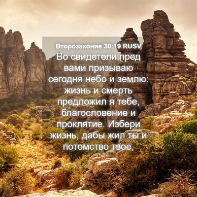Picture 04 - Второзаконие 30:19 RUSV - Во свидетели пред вами - Bible Verse Picture