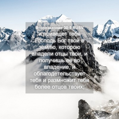 Picture 04 - Второзаконие 30:5 RUSV - и приведет тебя Господь - Bible Verse Picture