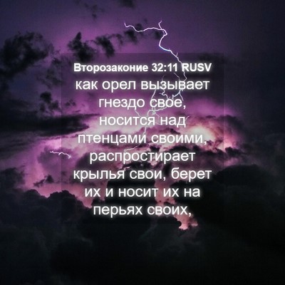 Picture 04 - Второзаконие 32:11 RUSV - как орел вызывает гнездо - Bible Verse Picture