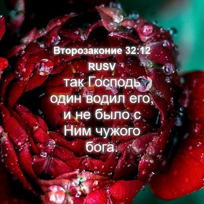 Picture 04 - Второзаконие 32:12 RUSV - так Господь один водил его, - Bible Verse Picture