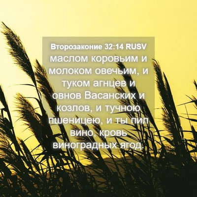 Picture 04 - Второзаконие 32:14 RUSV - маслом коровьим и молоком - Bible Verse Picture