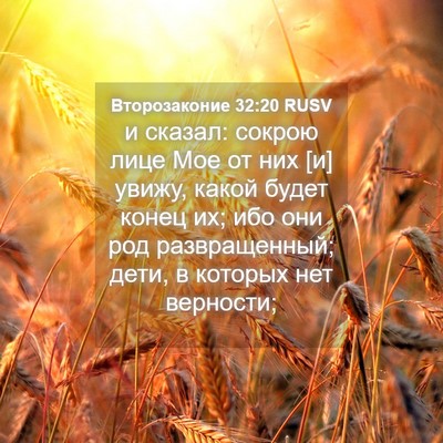Picture 04 - Второзаконие 32:20 RUSV - и сказал: сокрою лице Мое - Bible Verse Picture