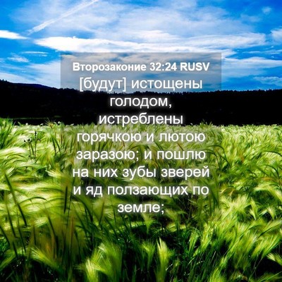 Picture 04 - Второзаконие 32:24 RUSV - [будут] истощены голодом, - Bible Verse Picture