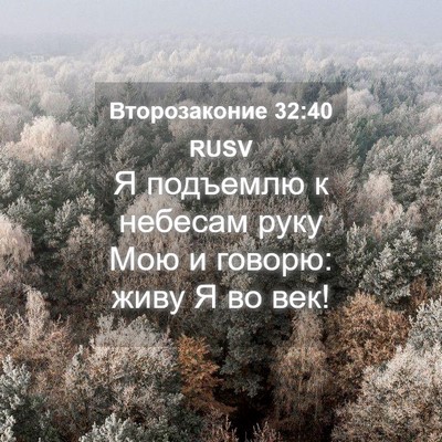 Picture 04 - Второзаконие 32:40 RUSV - Я подъемлю к небесам руку - Bible Verse Picture