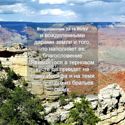 Picture 04 - Второзаконие 33:16 RUSV - и вожделенными дарами - Bible Verse Picture