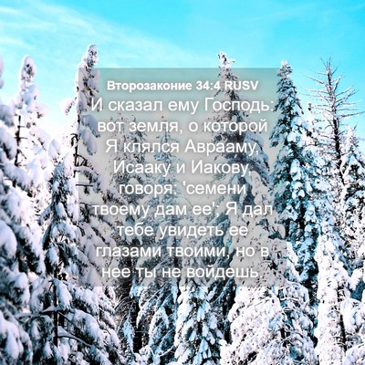 Picture 04 - Второзаконие 34:4 RUSV - И сказал ему Господь: вот - Bible Verse Picture