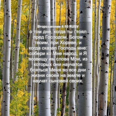 Picture 04 - Второзаконие 4:10 RUSV - о том дне, когда ты стоял - Bible Verse Picture
