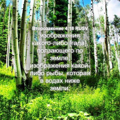 Picture 04 - Второзаконие 4:18 RUSV - изображения какого-либо - Bible Verse Picture