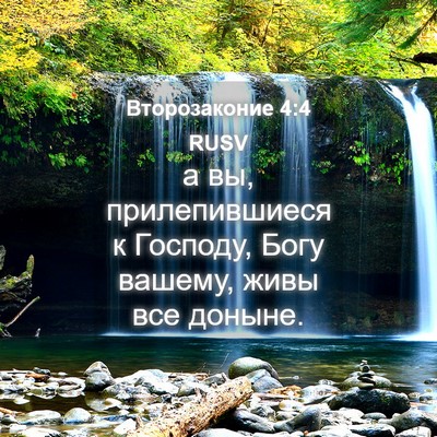 Picture 04 - Второзаконие 4:4 RUSV - а вы, прилепившиеся к - Bible Verse Picture