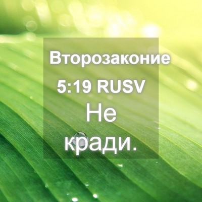 Picture 04 - Второзаконие 5:19 RUSV - Не - Bible Verse Picture