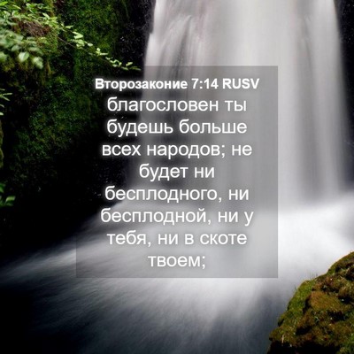 Picture 04 - Второзаконие 7:14 RUSV - благословен ты будешь - Bible Verse Picture