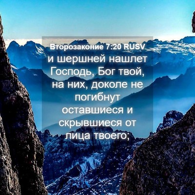Picture 04 - Второзаконие 7:20 RUSV - и шершней нашлет Господь, - Bible Verse Picture