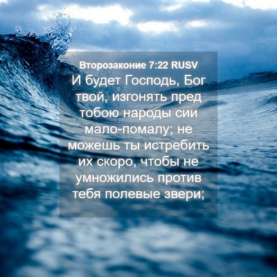 Picture 04 - Второзаконие 7:22 RUSV - И будет Господь, Бог твой, - Bible Verse Picture