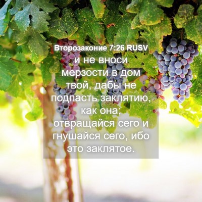 Picture 04 - Второзаконие 7:26 RUSV - и не вноси мерзости в дом - Bible Verse Picture