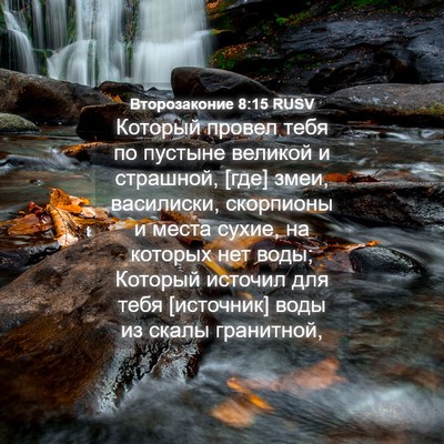Picture 04 - Второзаконие 8:15 RUSV - Который провел тебя по - Bible Verse Picture