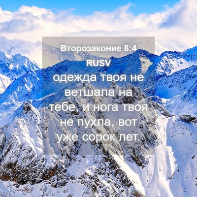 Picture 04 - Второзаконие 8:4 RUSV - одежда твоя не ветшала на - Bible Verse Picture