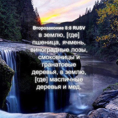 Picture 04 - Второзаконие 8:8 RUSV - в землю, [где] пшеница, - Bible Verse Picture