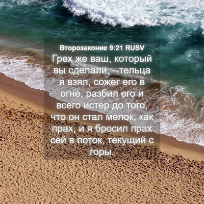 Picture 04 - Второзаконие 9:21 RUSV - Грех же ваш, который вы - Bible Verse Picture