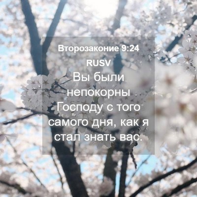 Picture 04 - Второзаконие 9:24 RUSV - Вы были непокорны Господу - Bible Verse Picture