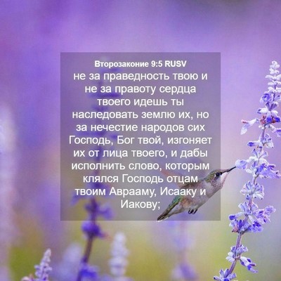 Picture 04 - Второзаконие 9:5 RUSV - не за праведность твою и не - Bible Verse Picture
