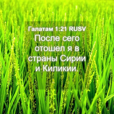Picture 04 - Галатам 1:21 RUSV - После сего отошел я в - Bible Verse Picture