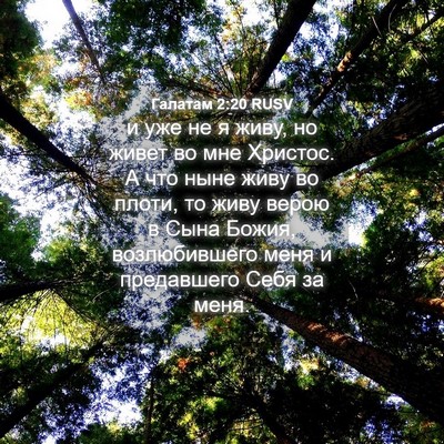 Picture 04 - Галатам 2:20 RUSV - и уже не я живу, но живет во - Bible Verse Picture