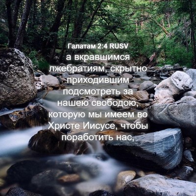 Picture 04 - Галатам 2:4 RUSV - а вкравшимся лжебратиям, - Bible Verse Picture