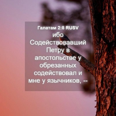 Picture 04 - Галатам 2:8 RUSV - ибо Содействовавший Петру - Bible Verse Picture
