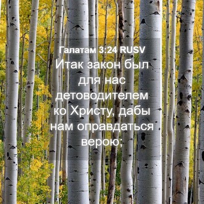 Picture 04 - Галатам 3:24 RUSV - Итак закон был для нас - Bible Verse Picture
