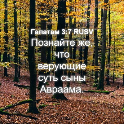Picture 04 - Галатам 3:7 RUSV - Познайте же, что верующие - Bible Verse Picture