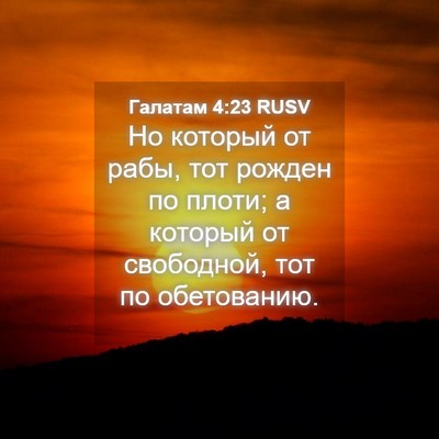 Picture 04 - Галатам 4:23 RUSV - Но который от рабы, тот - Bible Verse Picture