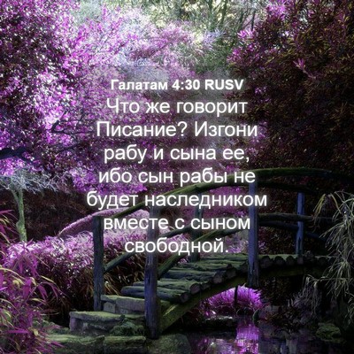 Picture 04 - Галатам 4:30 RUSV - Что же говорит Писание? - Bible Verse Picture