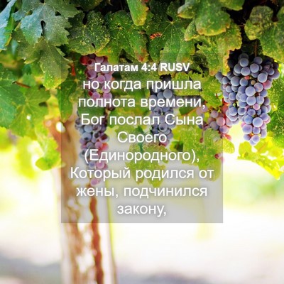 Picture 04 - Галатам 4:4 RUSV - но когда пришла полнота - Bible Verse Picture