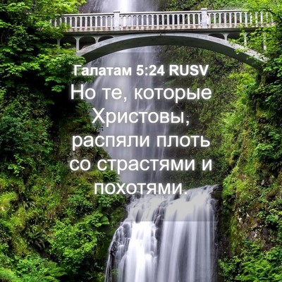 Picture 04 - Галатам 5:24 RUSV - Но те, которые Христовы, - Bible Verse Picture