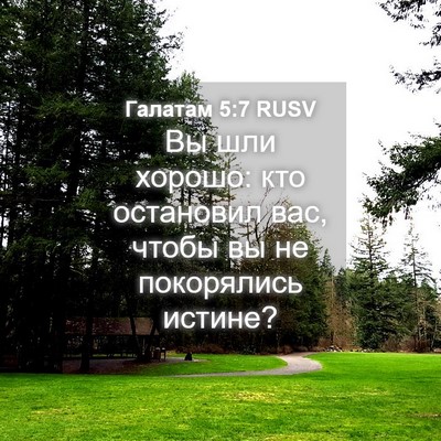 Picture 04 - Галатам 5:7 RUSV - Вы шли хорошо: кто - Bible Verse Picture