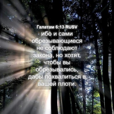 Picture 04 - Галатам 6:13 RUSV - ибо и сами обрезывающиеся - Bible Verse Picture