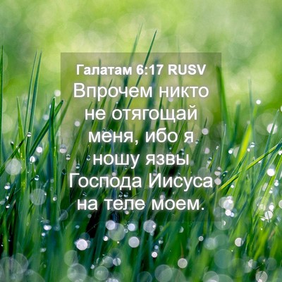 Picture 04 - Галатам 6:17 RUSV - Впрочем никто не отягощай - Bible Verse Picture