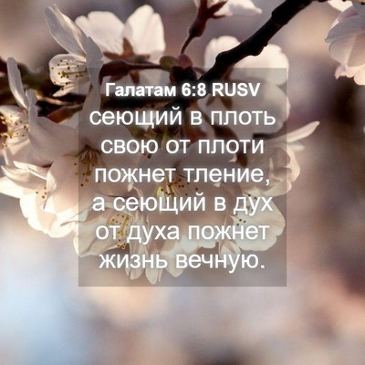 Picture 04 - Галатам 6:8 RUSV - сеющий в плоть свою от - Bible Verse Picture