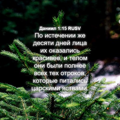 Picture 04 - Даниил 1:15 RUSV - По истечении же десяти - Bible Verse Picture