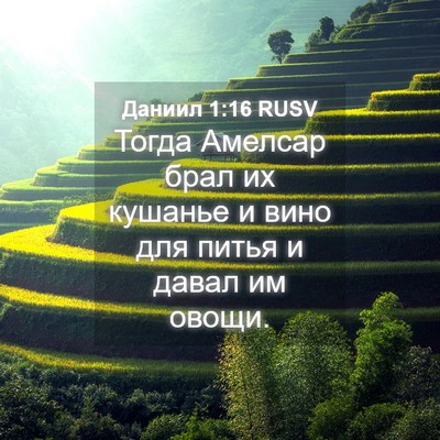 Picture 04 - Даниил 1:16 RUSV - Тогда Амелсар брал их - Bible Verse Picture