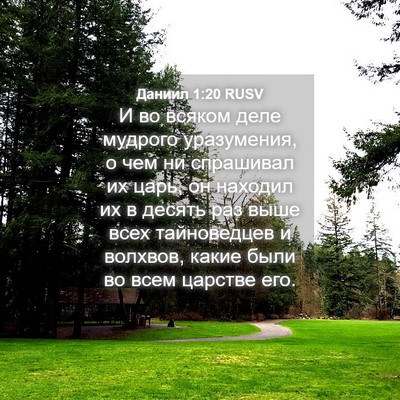 Picture 04 - Даниил 1:20 RUSV - И во всяком деле мудрого - Bible Verse Picture